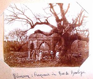 ALGERIE LES ANNEES 1900 (17)